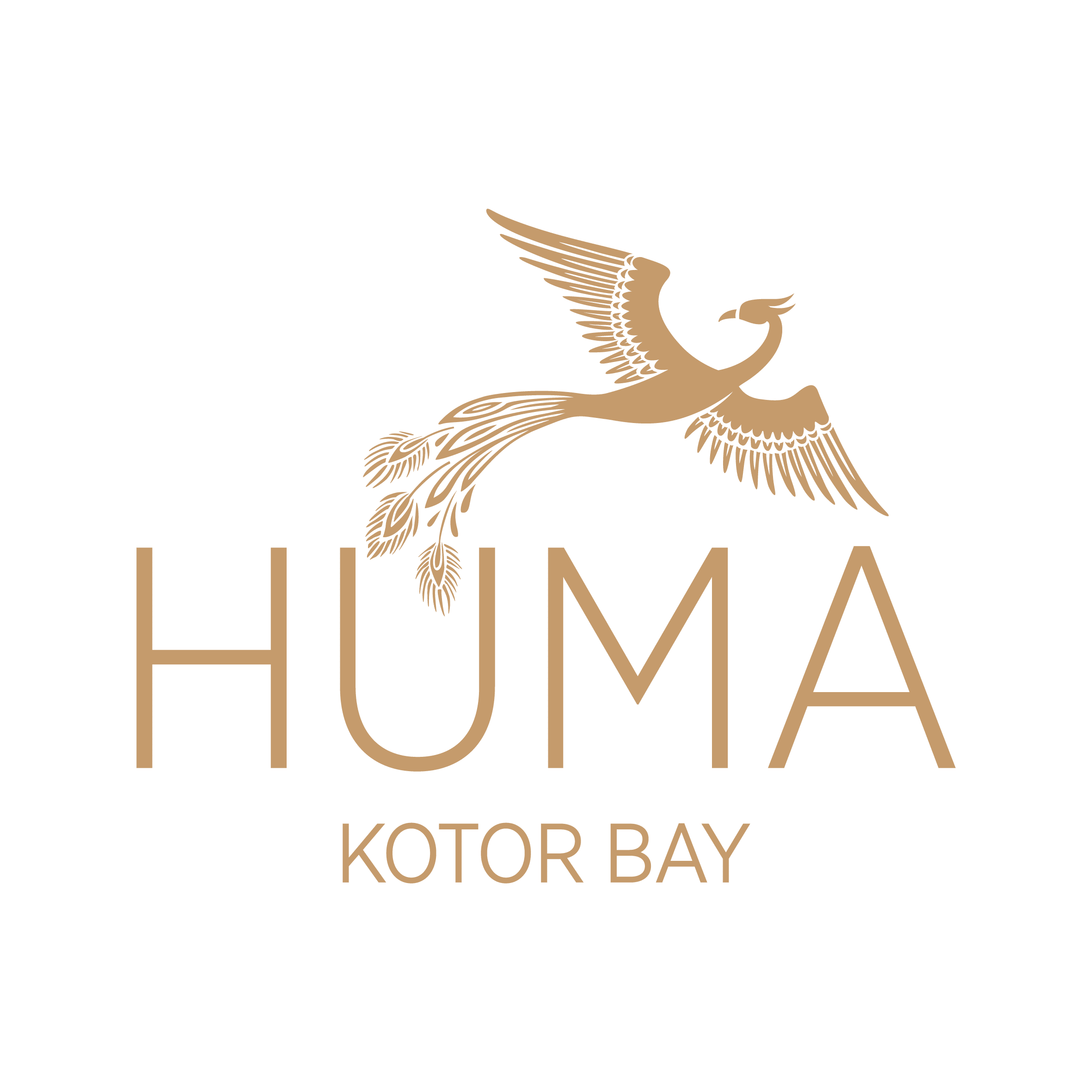 huma logo